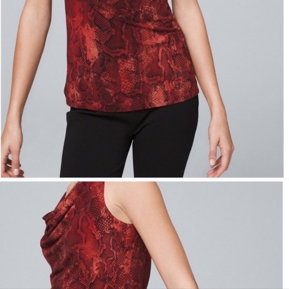 White House Black Market | Python-Print Top - Picture 11 of 16